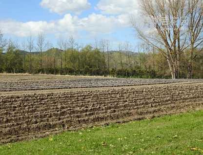 1468 Matawai Road, Ormond, Gisborne, 4 ਕਮਰੇ, 0 ਬਾਥਰੂਮ