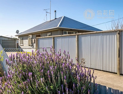 26 Parker Street, Mayfield, Marlborough, 3 कमरे, 1 बाथरूम