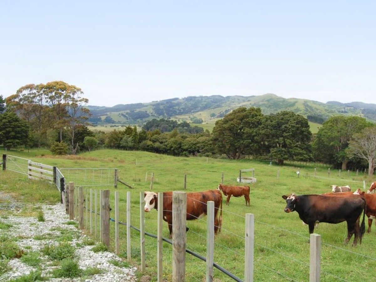 Rural  Rural Coastal Zone