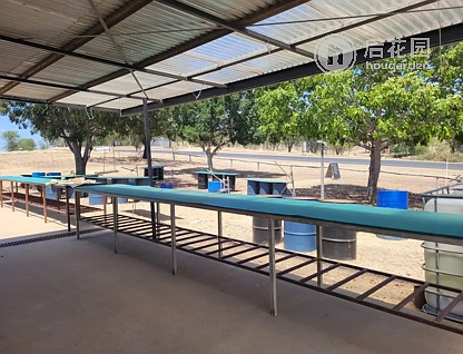 6 BURRIDGE RD, RUBYVALE QLD 4702, 0房, 0浴, House