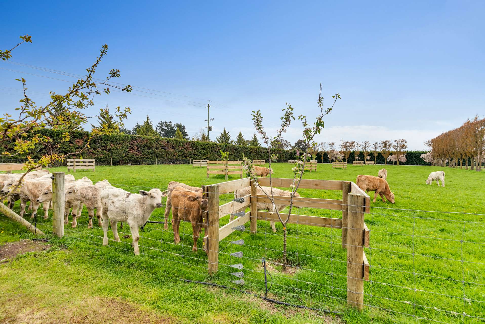 16 Winslow Westerfield Road, Winslow