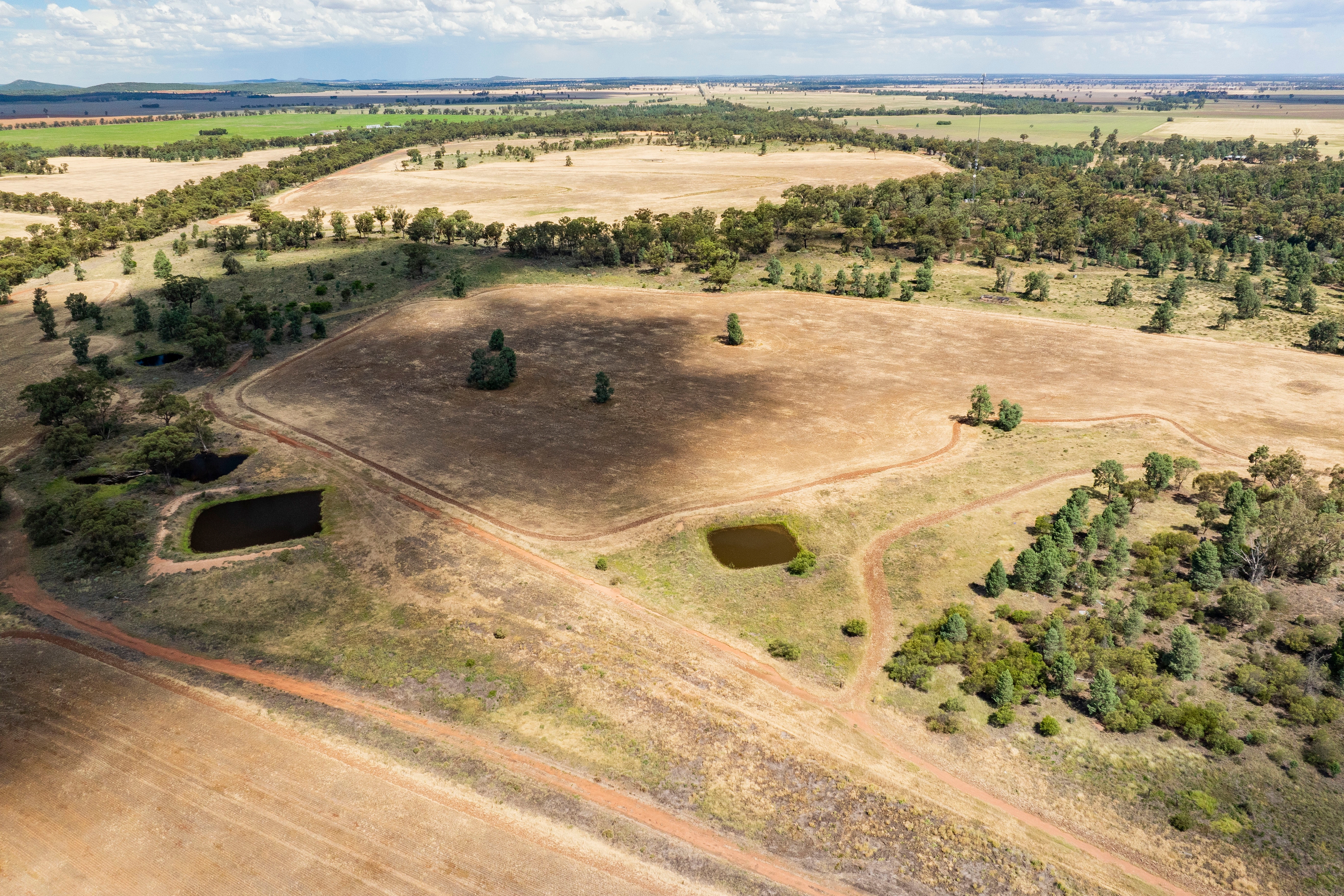 WESTBURY 3426 GOLDFIELDS WAY, Barmedman, Riverina, 0 rūma, 0 rūma horoi, Lifestyle Section