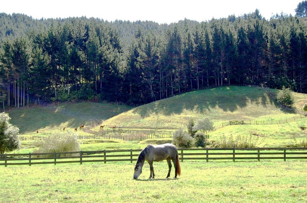 Rural  Rural Production Zone