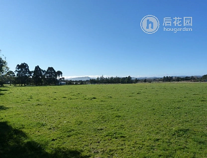 485a Upper Plain Road, Upper Plain, Masterton, 0 Schlafzimmer, 0 Badezimmer