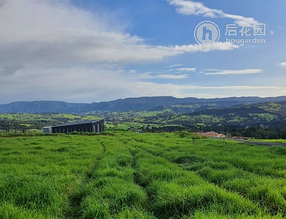 7 Hulme Drive, Okaihau, Far North, 3 રૂમ, 0 બાથરૂમ