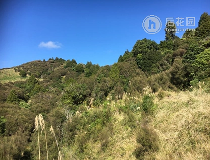 3520a State Highway 4, Owhango, Ruapehu, 0房, 0浴