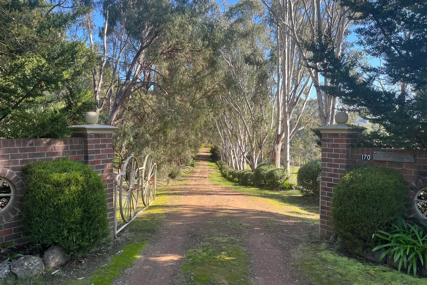 BLUE GUMS 170 MCMILLAN POINT DR, Mansfield, Wangaratta, 0 Schlafzimmer, 0 Badezimmer, Lifestyle Section