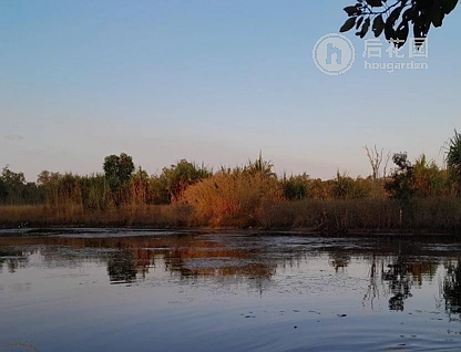 689 REEDBEDS RD, DARWIN RIVER NT 0841, 0 ਕਮਰੇ, 0 ਬਾਥਰੂਮ, Section