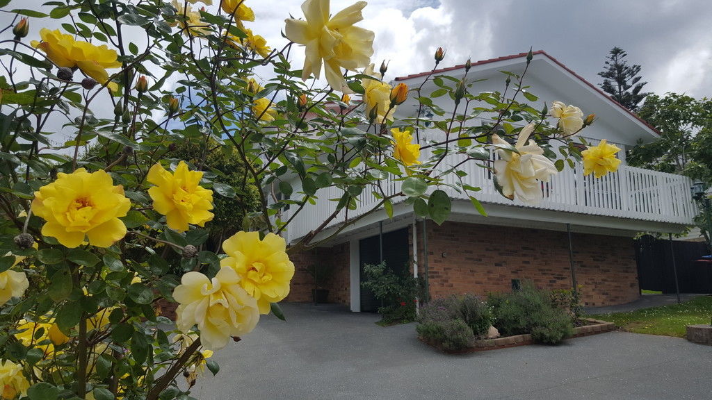 Residential  Mixed Housing Suburban Zone