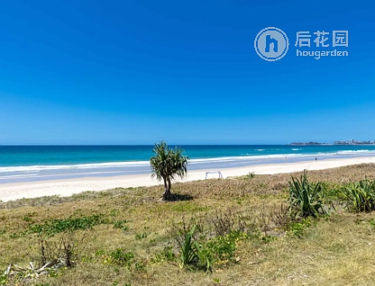 Unit 70/437 GOLDEN FOUR DRIVE, TUGUN, 0 غرف, 0 حمامات, Unit