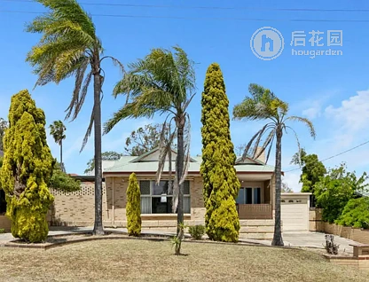 6 DOHERTY ST, EMBLETON WA 6062, 0 slaapkamers, 0 badkamers, House