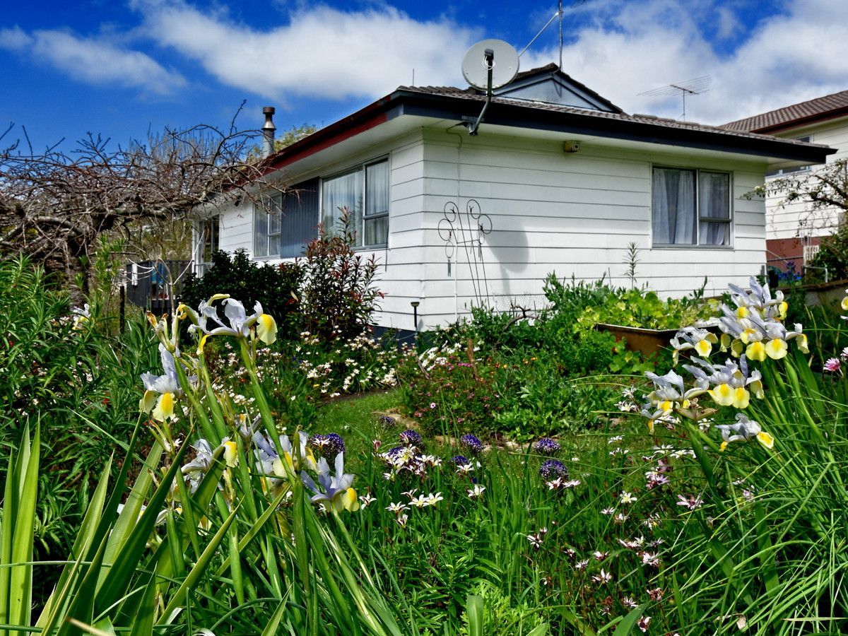 17 Gallony Avenue, Massey