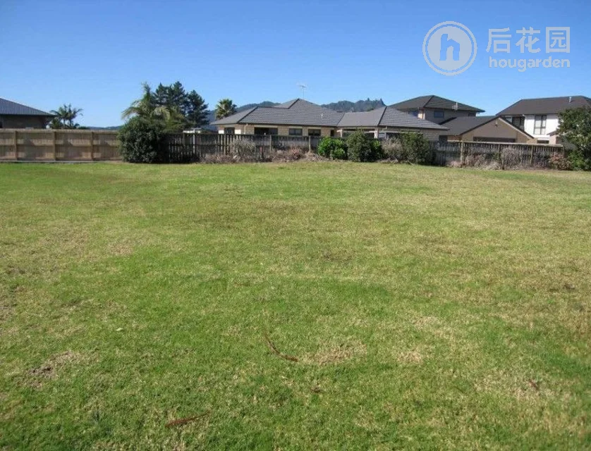 82 One Tree Point Road, One Tree Point, Whangarei, 3房, 0浴
