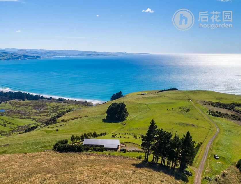 197 Heyward Point Road, Heyward Point, Dunedin, 3 રૂમ, 0 બાથરૂમ