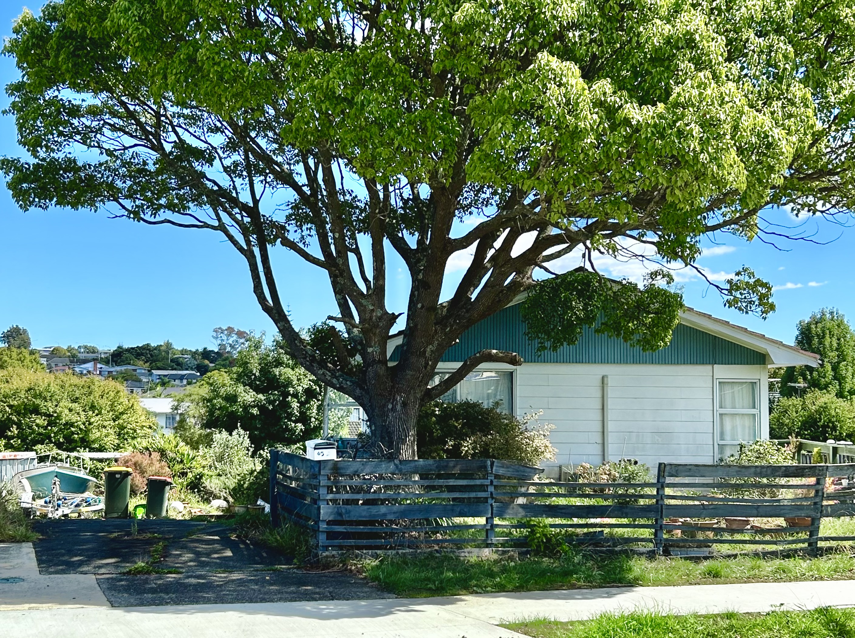65 Archmillen Avenue, Pakuranga Heights