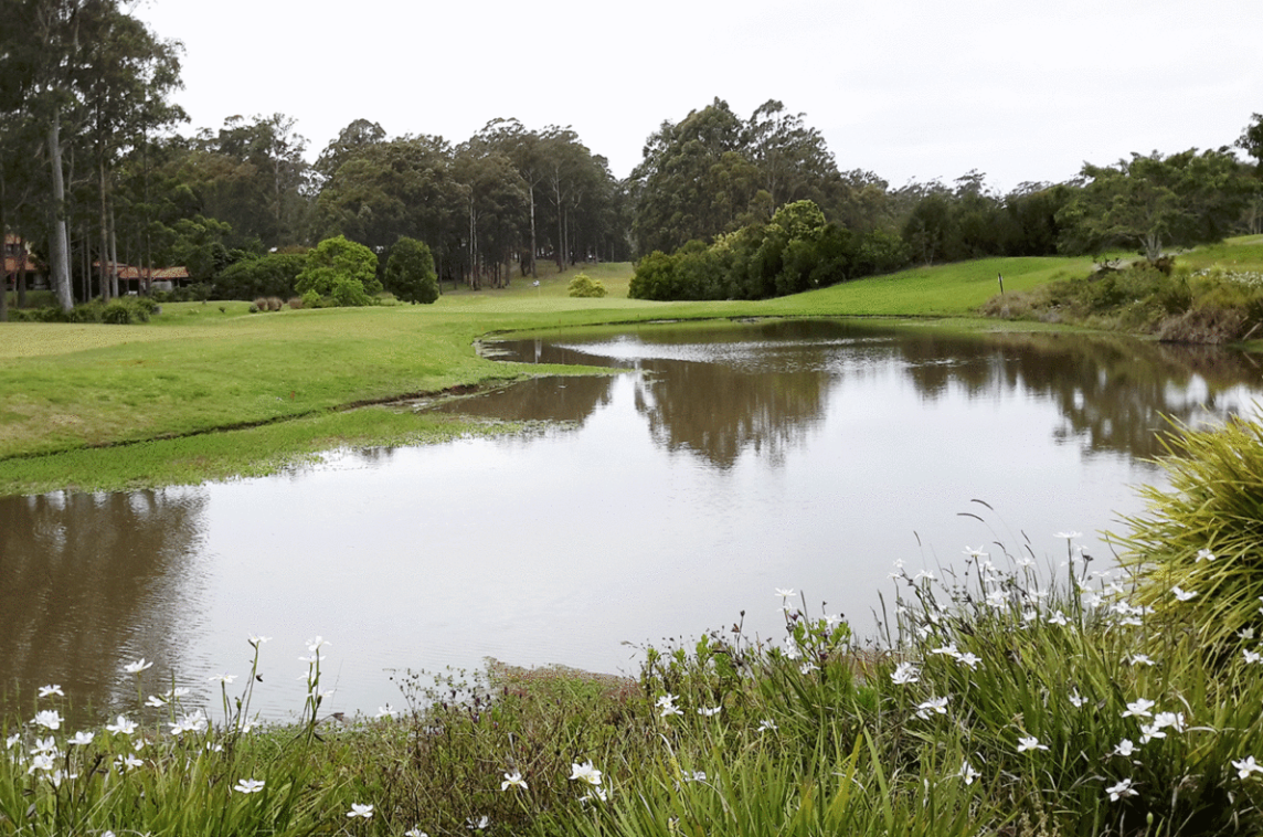 25B THE FAIRWAY, Tallwoods Village, North Coast, 0 Kuwarto, 0 Banyo, Section