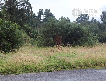 38 Donovan Drive, Franz Josef Glacier, Westland, 1 habitaciones, 1 baños