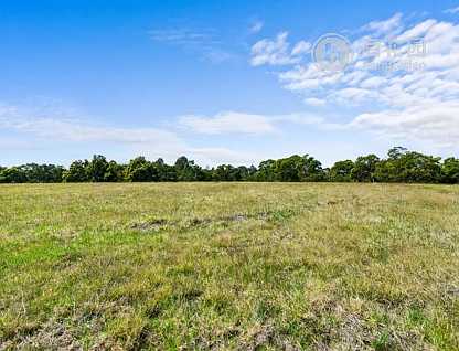 3 IAN CT, METUNG VIC 3904, 0房, 0浴, Section