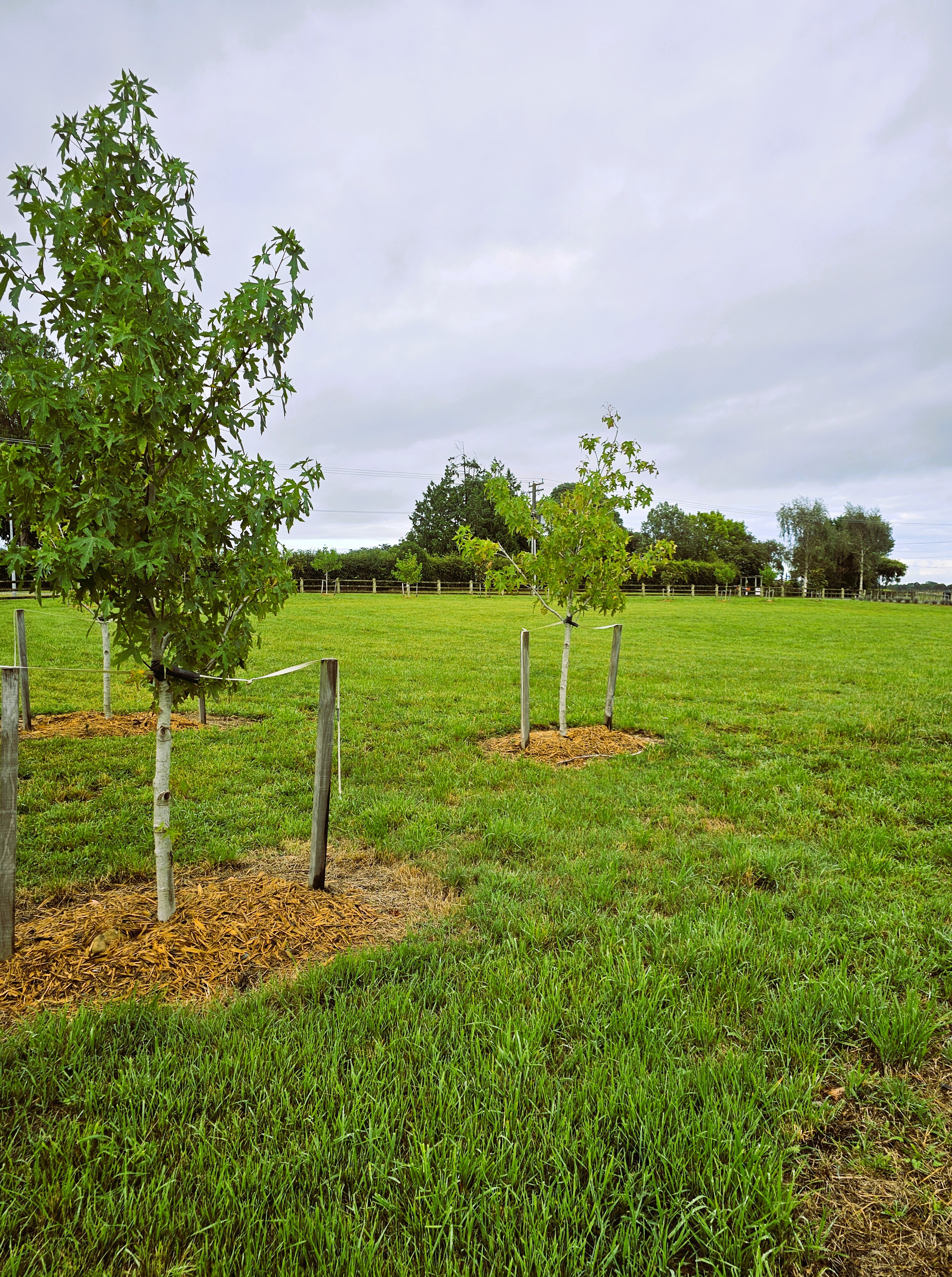 5 Arete Lane, Levin, Horowhenua, 0房, 0浴, Lifestyle Section
