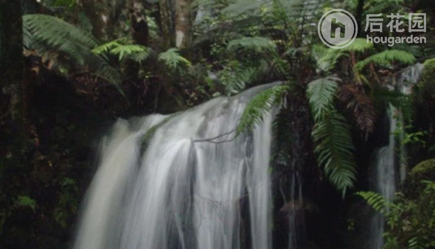 156d Silverstream Falls Row, Whenuakite, Coromandel, 0房, 0浴, Lifestyle Section