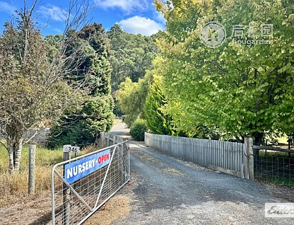 346 WILMOT RD, FORTH TAS 7310, 0 कमरे, 0 बाथरूम, Lifestyle Section