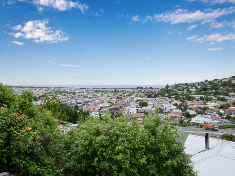 64 Barnes Drive, Caversham, Dunedin City, 1 Bedrooms, 1 Bathrooms