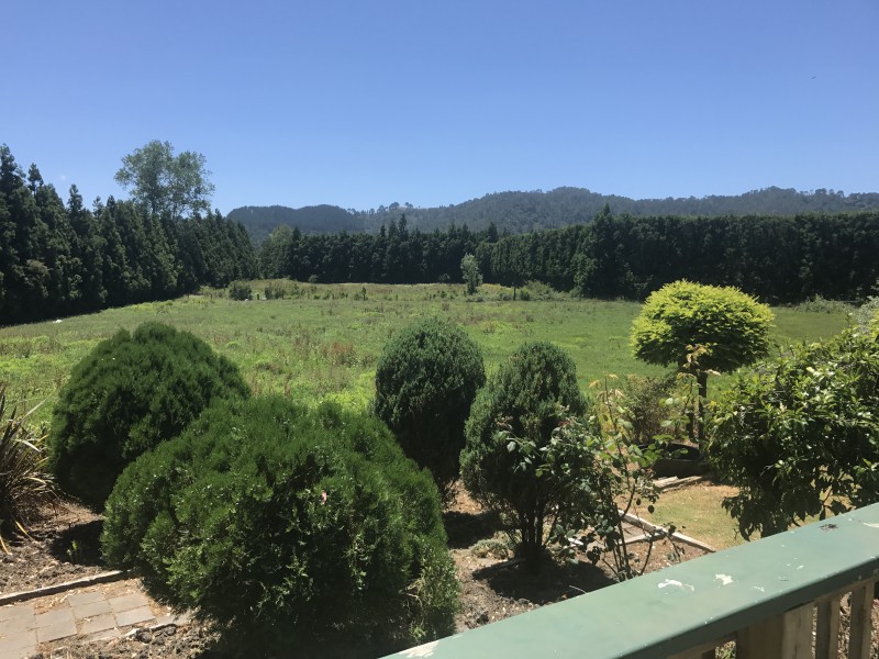 1440 Tiki Sh25 Road, Coromandel, Thames-Coromandel, 2 ਕਮਰੇ, 0 ਬਾਥਰੂਮ