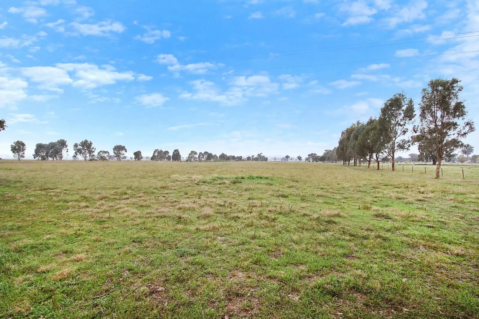3168 OLYMPIC HWY, Culcairn, Riverina, 0 phòng ngủ, 0 phòng tắm, Section