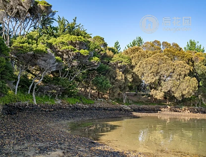 121 BEVIC RD, CLARENCE POINT TAS 7270, 0 Kuwarto, 0 Banyo, Section