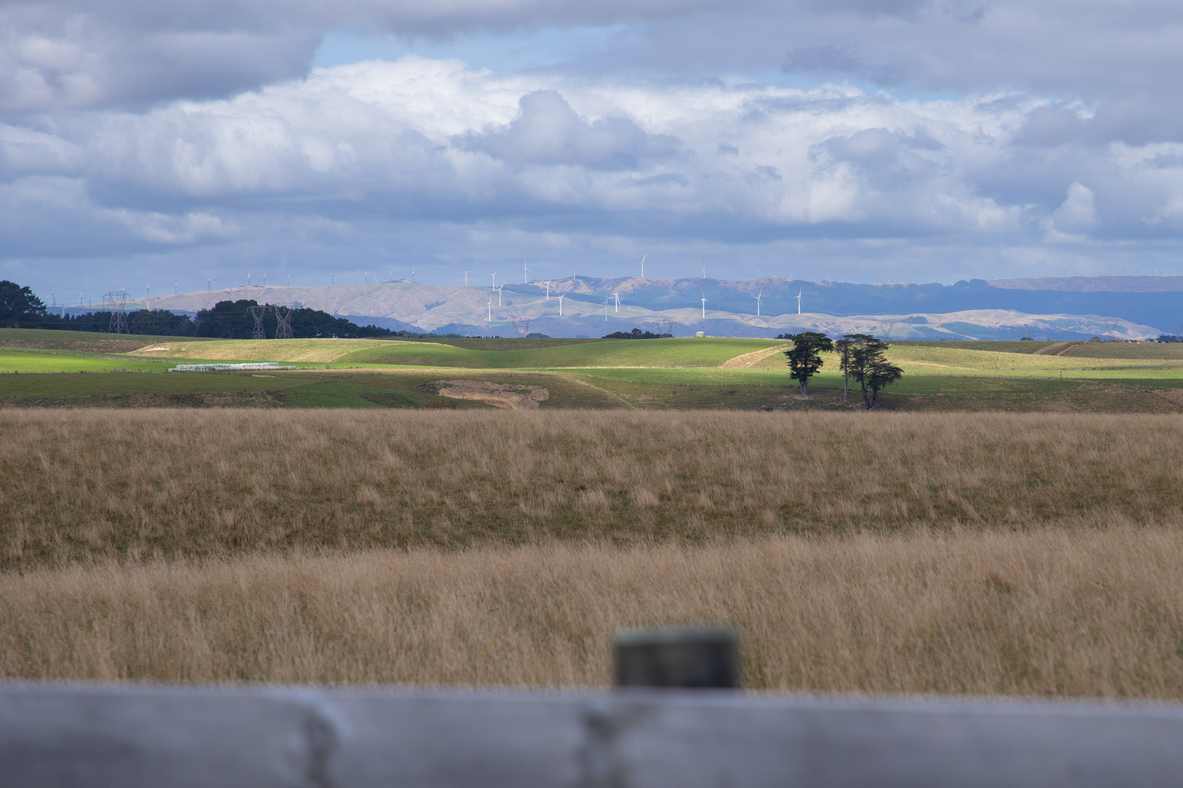 1052 Taonui Road, Feilding, Manawatu, 0 રૂમ, 0 બાથરૂમ, Lifestyle Section