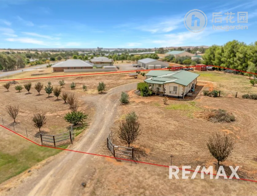 3 LOUGHAN RD, JUNEE NSW 2663, 0房, 0浴, House