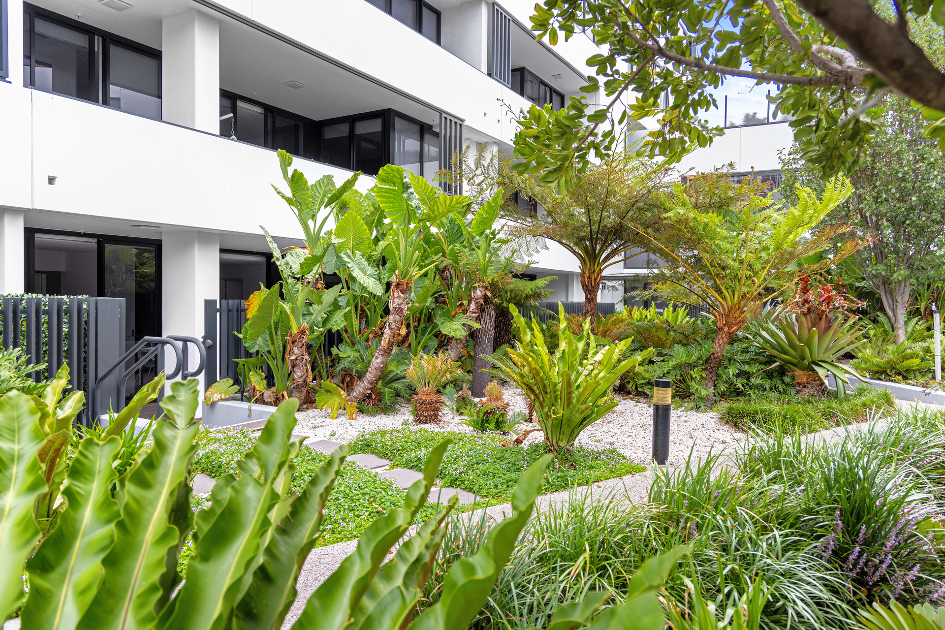 BUILDING C UNIT 267 28 OAKS AV, Dee Why, Northern Beaches, 0房, 0浴, Unit