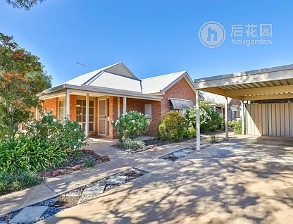13 HEATH ST, RED CLIFFS VIC 3496, 0 ਕਮਰੇ, 0 ਬਾਥਰੂਮ, Townhouse