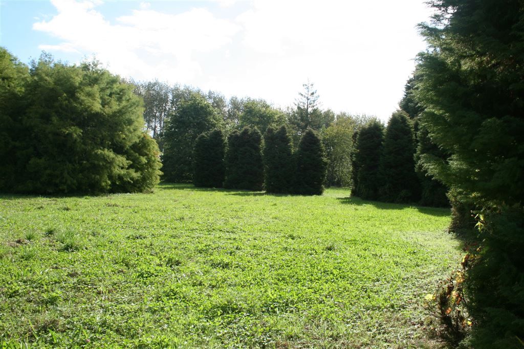Rural  Rural Production Zone
