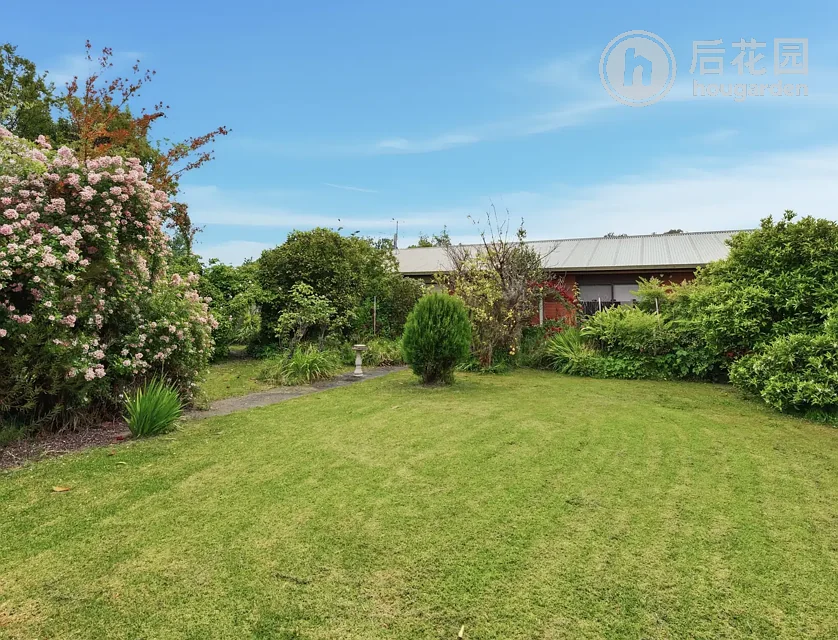 10 ACKERLY AV, BENALLA VIC 3672, 0 Kuwarto, 0 Banyo, House