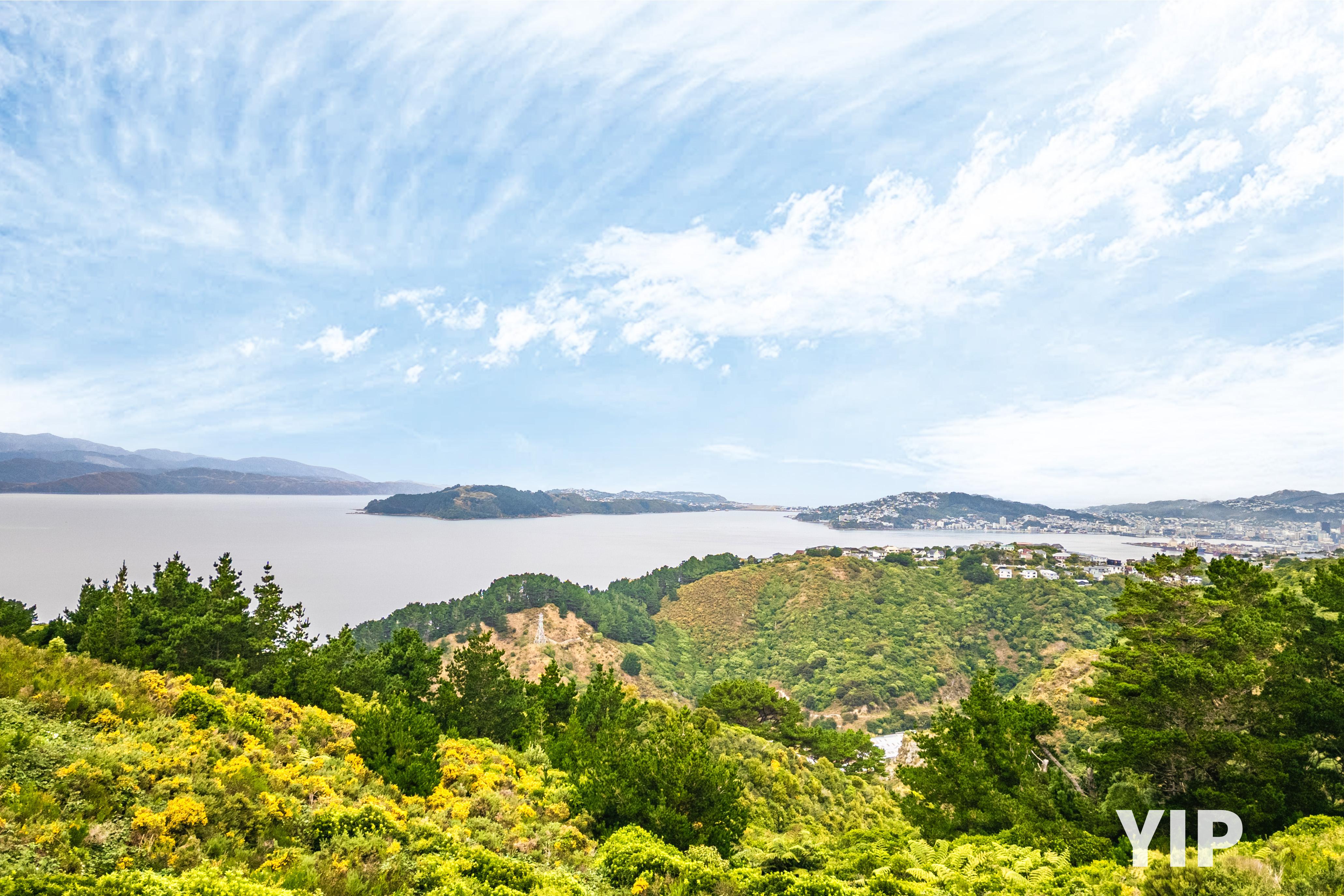 10 Cessna Way, Newlands, Wellington City, 0 Bedrooms, 0 Bathrooms, Section
