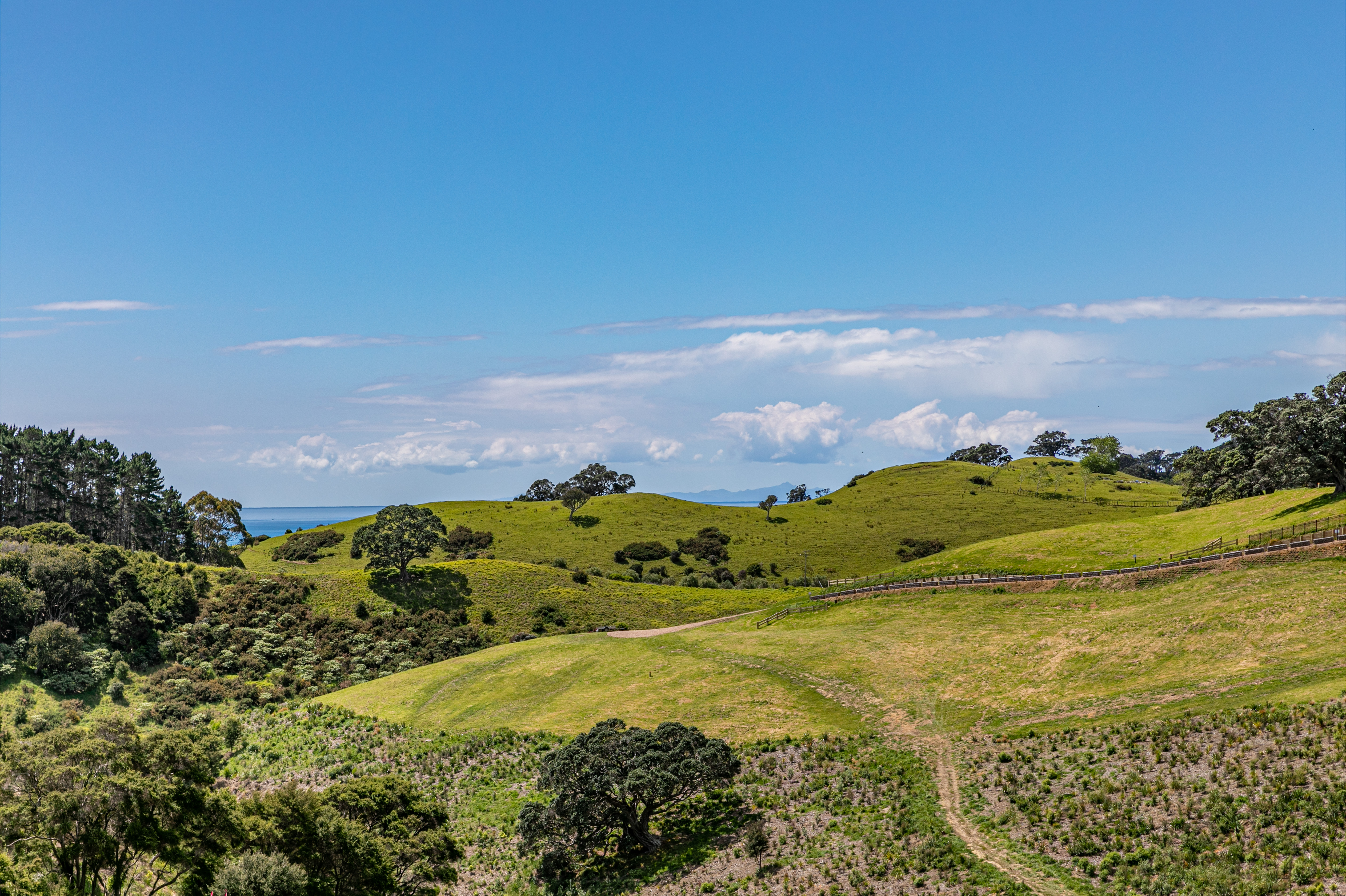 Hauraki Gulf Islands