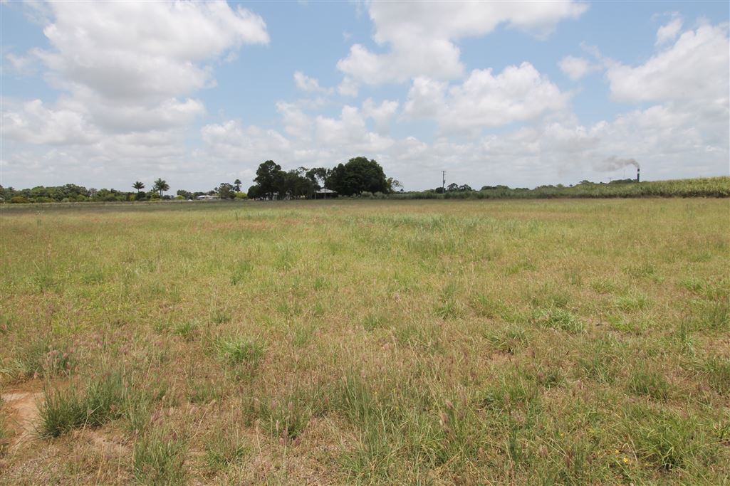 241 BURDEKIN RD, Home Hill, Townsville, 0 rūma, 0 rūma horoi, Section