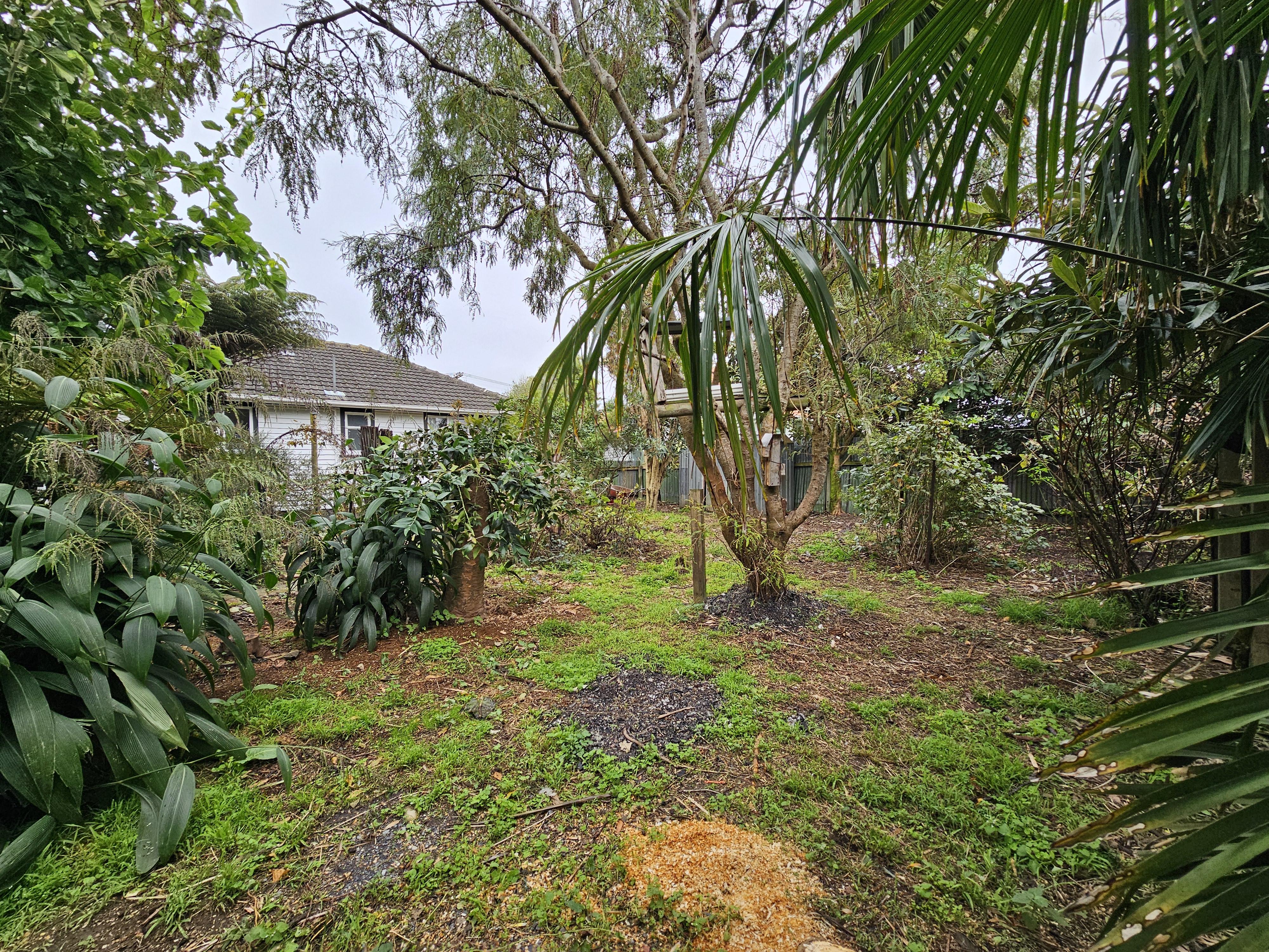 7 Dover Street, Levin, Horowhenua, 2 રૂમ, 1 બાથરૂમ, House