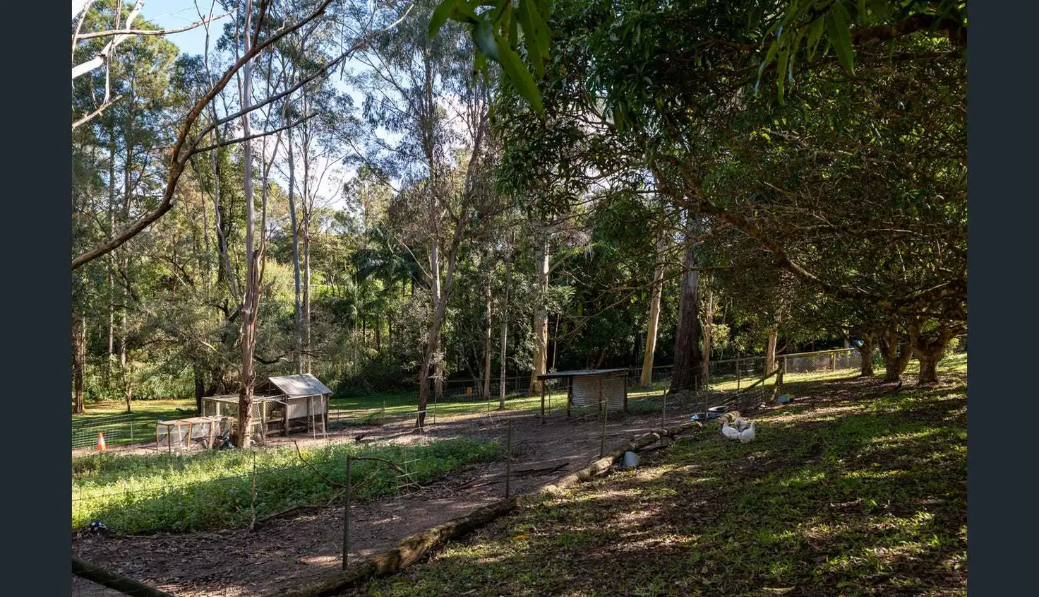260-264 DIDDILLIBAH RD, Diddillibah, Sunshine Coast, 0 rūma, 0 rūma horoi, House
