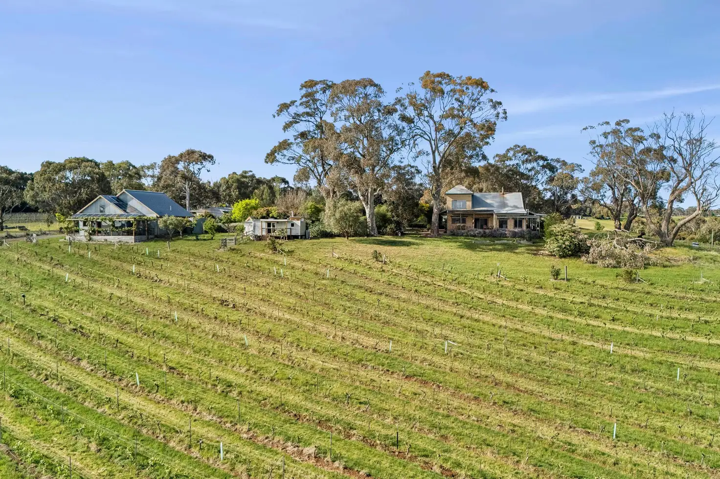 ZIG ZAG RD WINERY 201 ZIG ZAG RD, Drummond North, Ballarat, 0 غرف, 0 حمامات, House