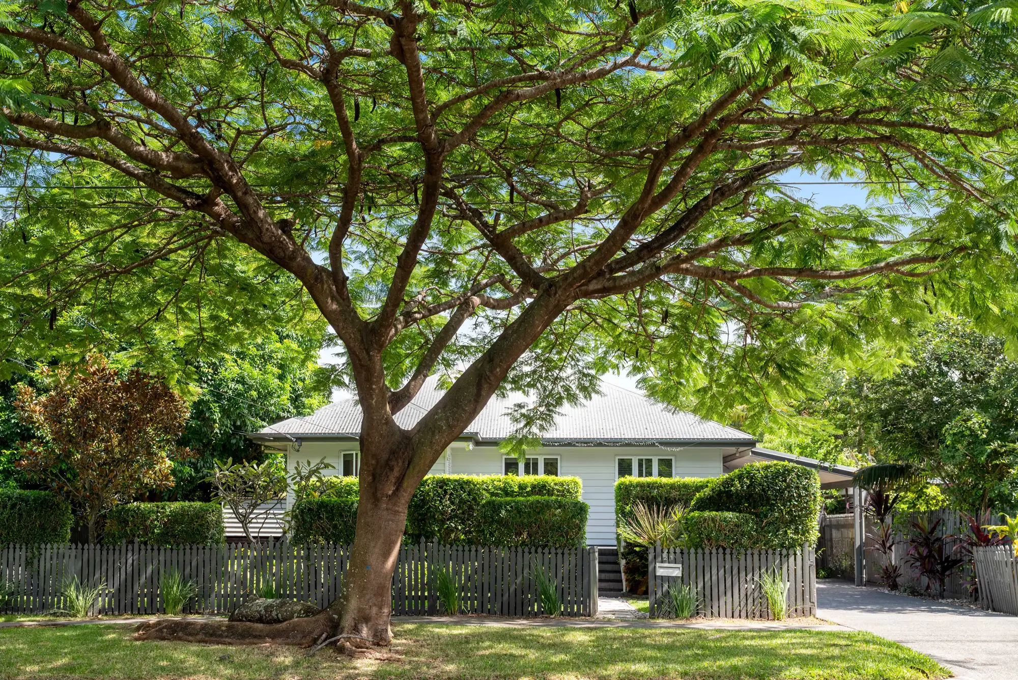 21 ALGOORI ST, Morningside, Brisbane - Eastern Region, 0房, 0浴, House