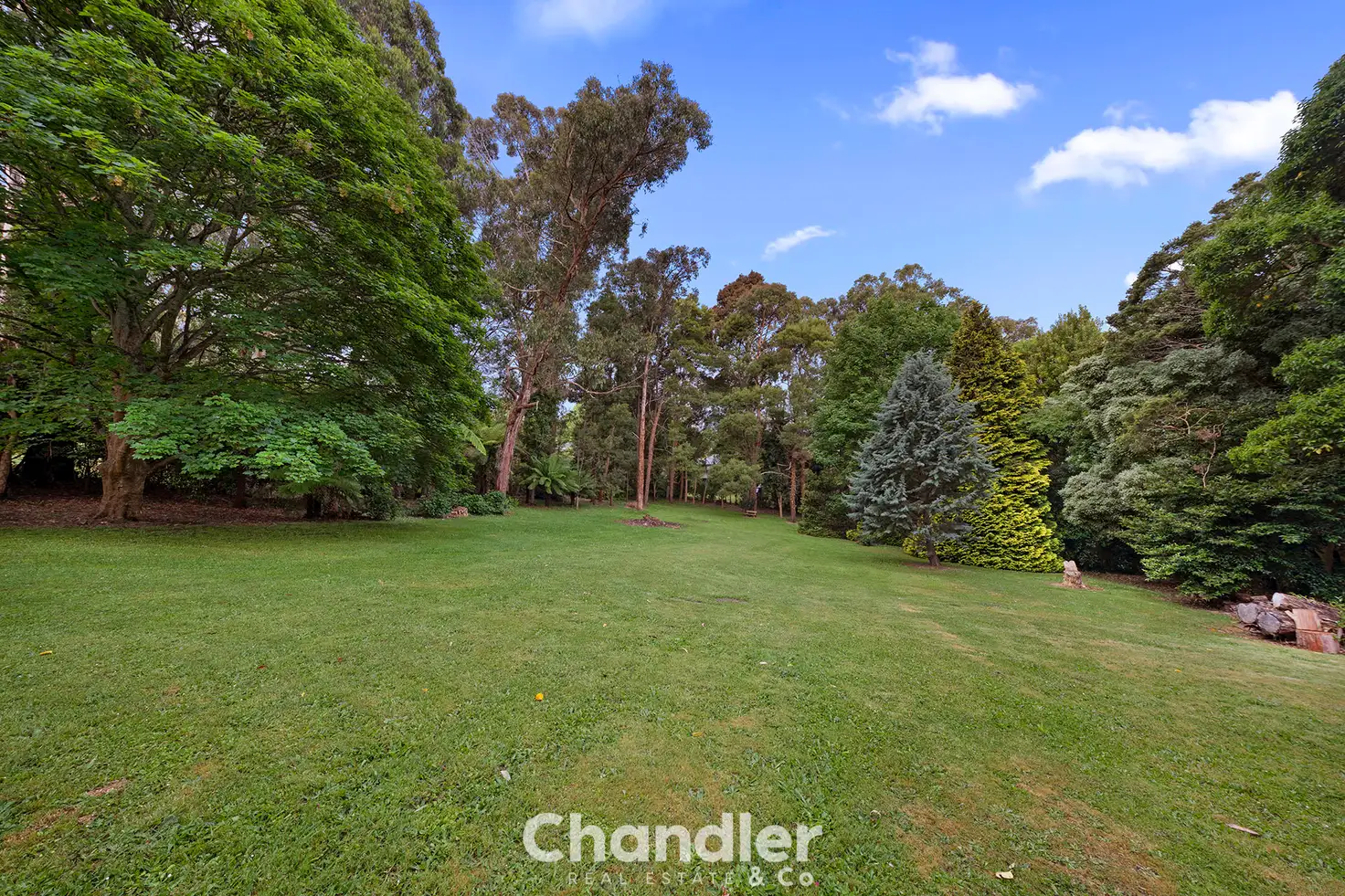 13 MOXHAMS RD, Monbulk, East Melbourne, 0 ਕਮਰੇ, 0 ਬਾਥਰੂਮ, House