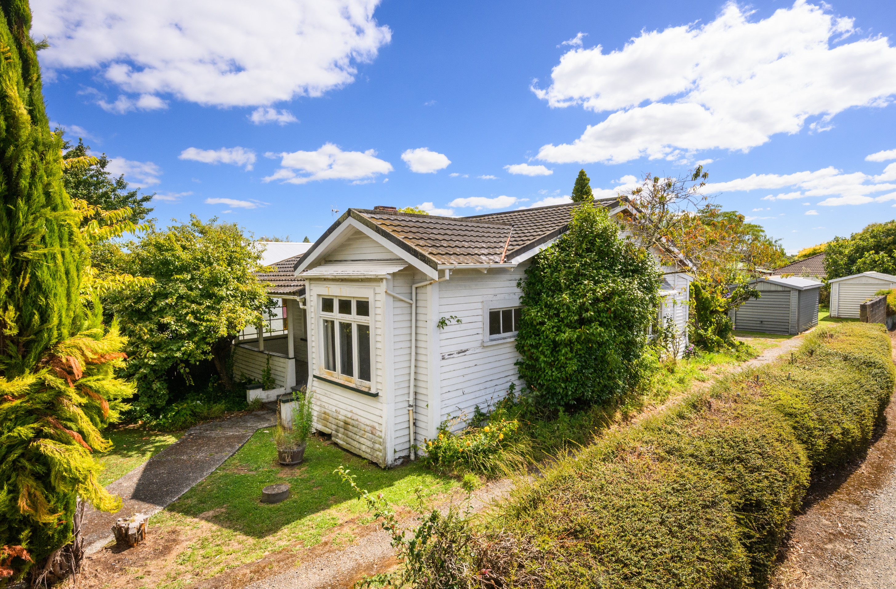 225 College Street, West End, Palmerston North City, 5房, 0浴, House