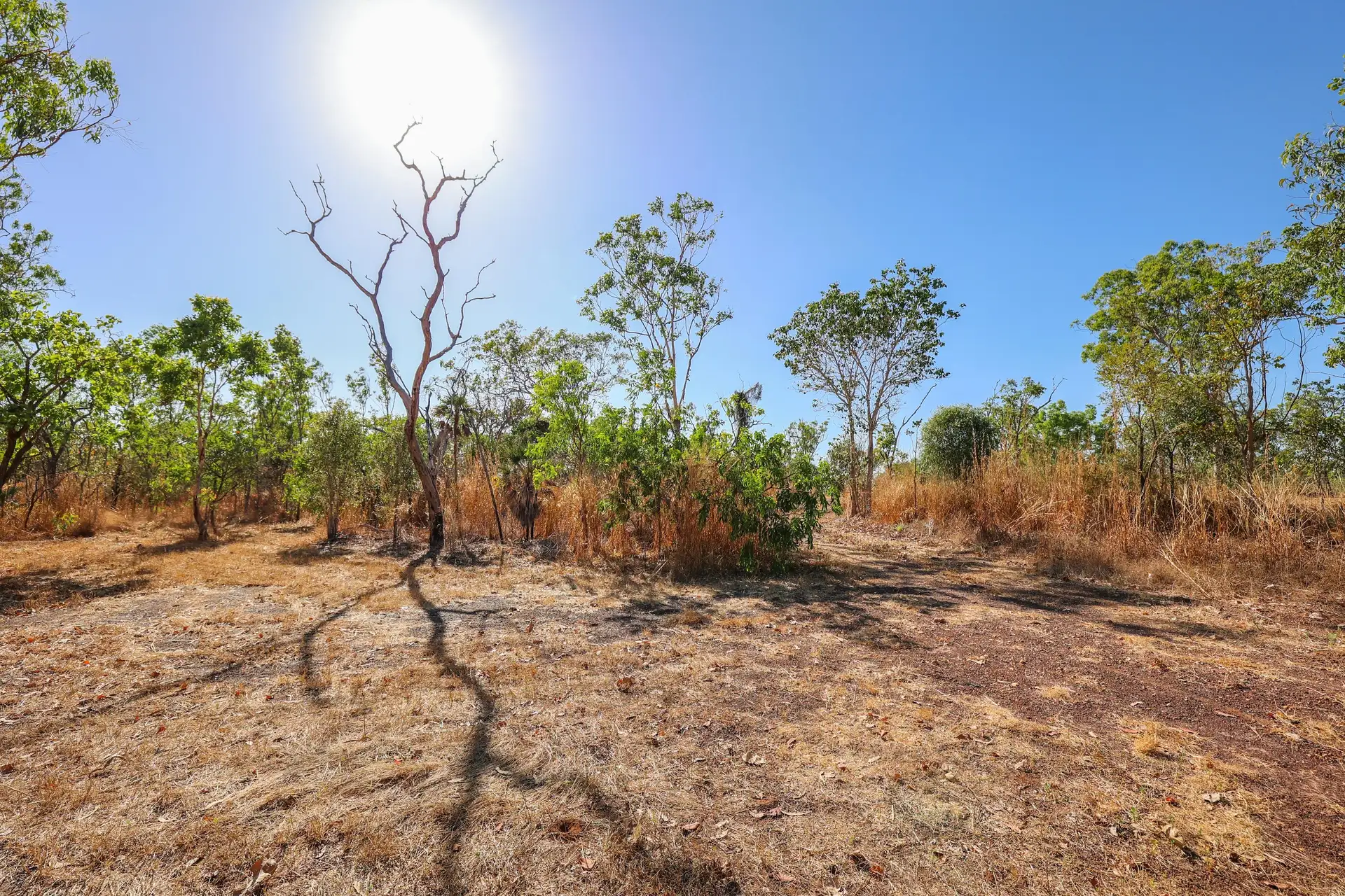 727 REEDBEDS RD, Darwin River, Litchfield, 0 Kuwarto, 0 Banyo, Section