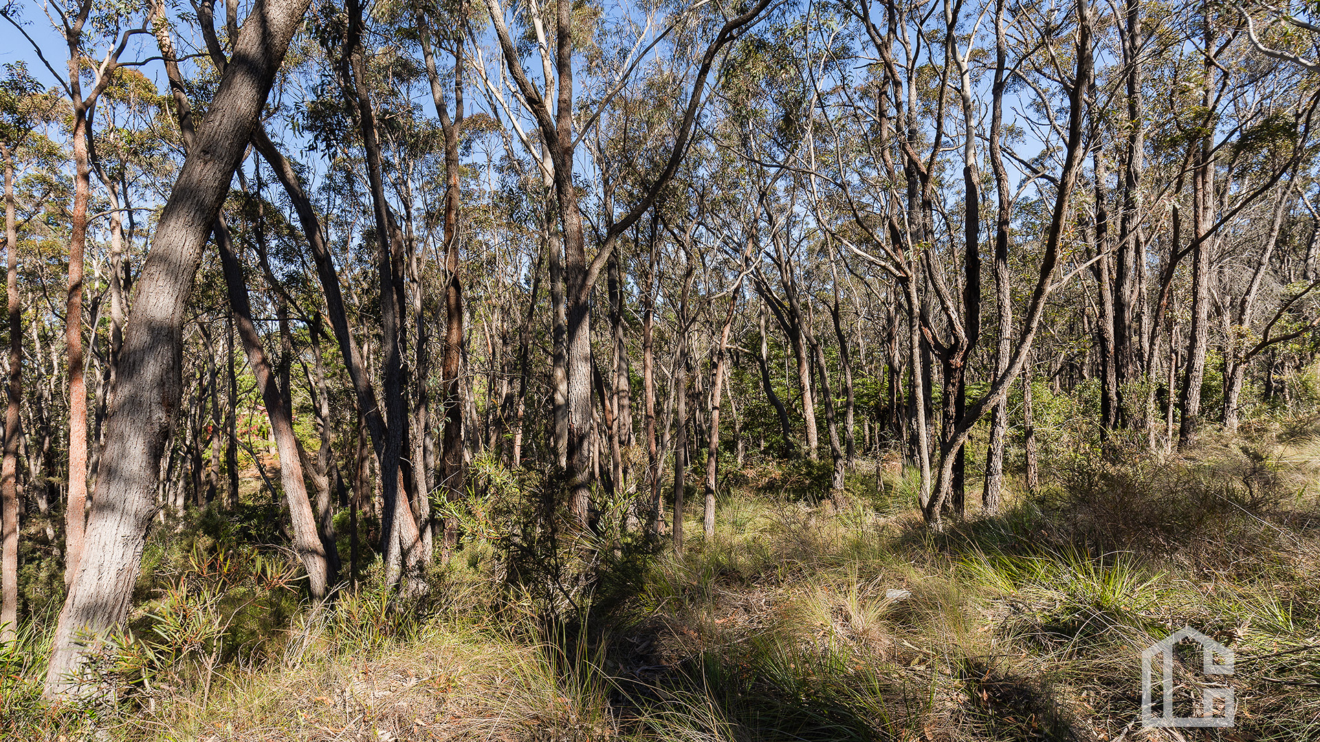 19-23 DUPERRY ST, Wentworth Falls, Blue Mountains - Region, 0 ห้องนอน, 0 ห้องน้ำ, Section
