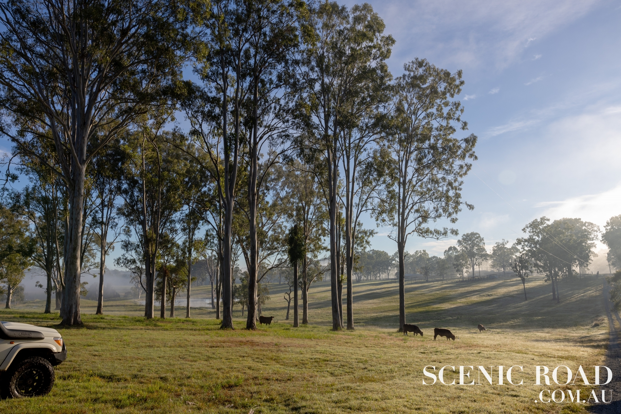 67-89 WALDRON RD, Tamborine, Gold Coast, 0房, 0浴, Lifestyle Section