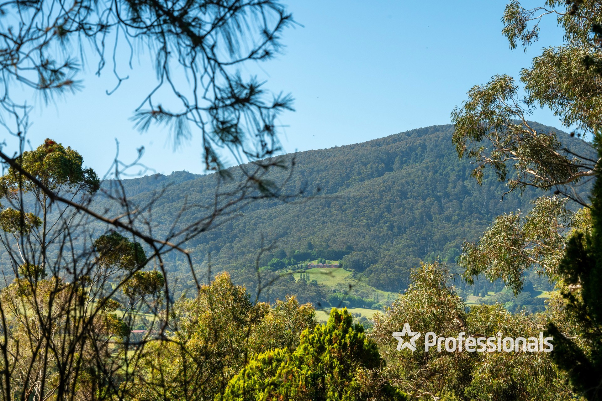 45 ALPINE BVD, Launching Place, Yarra Valley, 0 habitaciones, 0 baños, Section