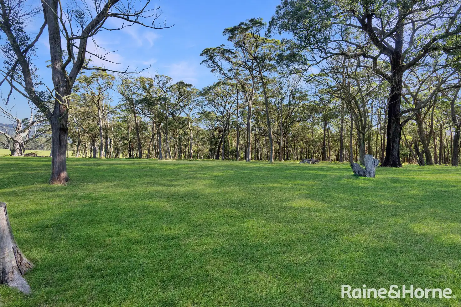 65C GLENMURRAY RD, KANGAROO VALLEY NSW 2577, 0 Kuwarto, 0 Banyo, Section