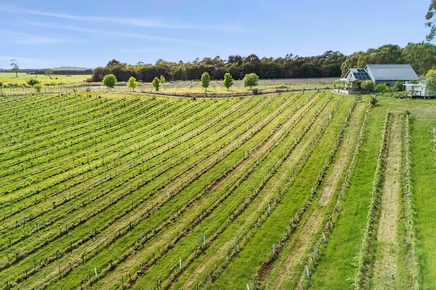 ZIG ZAG RD WINERY 201 ZIG ZAG RD, Drummond North, Ballarat, 0 غرف, 0 حمامات, House